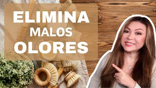 AROMA DELICIOSO EN TU HOGAR CON ESTAS IDEAS Y TIPS 🏠 EXCELENTES OPCIONES PARA AROMATIZAR TU CASA 🏠 [upl. by Mill]