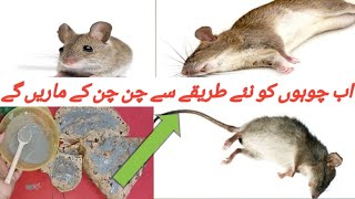 get rid of mouse  Chuhe baghane ka tarika  Rat killer trick  rat killer  kitchen tips [upl. by Anatlus112]