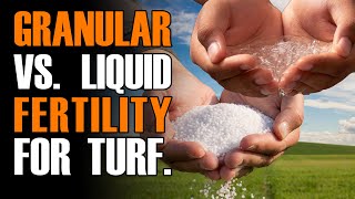 Granular vs Liquid Programs for Turfgrass [upl. by Ehtiaf146]