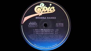 Shabba Ranks  Ting A Ling Dancehall Mix 1992 [upl. by Kohl]