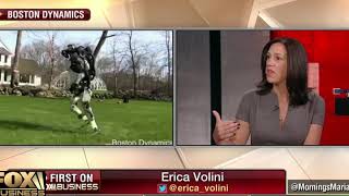 Erica Volini US Human Capital Leader speaks with Fox Business [upl. by Kaufman78]