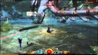 Guild Wars 2  Top Ten Rifles  The Herald [upl. by Sophia266]