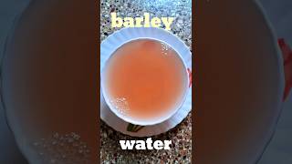 బార్లీ నీళ్లు  How to make barley water  Barley java  Barley water recipe shorts yt trending [upl. by Fem868]