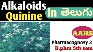 Quinine in తెలుగు b pharm 5th sem  pharmacognosy 2 unit 3 [upl. by Mathias]