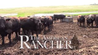 American Rancher  American Simmental Association [upl. by Asatan251]