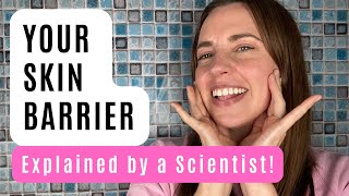 Your Skin Barrier Explained by a Scientist [upl. by Hasin]