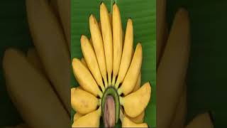 Lady Finger banana Health and Benefits [upl. by Ethban329]