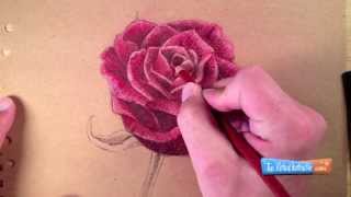 How to Draw a Rose with Colored Pencils [upl. by Yrokcaz531]