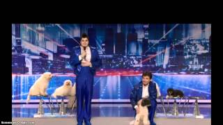 Americas Got Talent The Olate Dogs Labradoodles Dog Tricks [upl. by Tenn388]