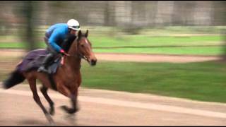 Présentation de lhippodrome et du Centre d’Entraînement de MaisonsLaffitte [upl. by Aicenav]