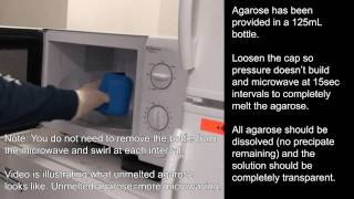 Agarose Gel Preparation [upl. by Ivar257]