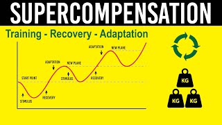 Training Recovery amp Adaptation Supercompensation principle [upl. by Francene]