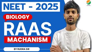 NEET  2025  RASS Mechanism  Excretory product and Their Elements  NEET Biology  By Rudra Sir [upl. by Ferrick]