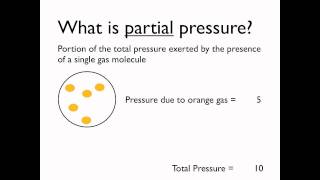 What is partial pressure [upl. by Caton]