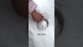 ¡Cómo crear una bola de nieve perfecta ❄️shorts ideas curiosidades [upl. by Jezabelle]