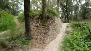 Alafia MTB Park  Serpent off of Rollercoaster [upl. by Charita315]