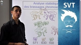 SVT Terminale  Exercice de type BAC  Le Brassage chromosomique [upl. by Anam]