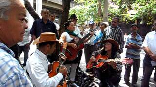 Parque Berrío Medellín diversidad cultural [upl. by Jaymie44]