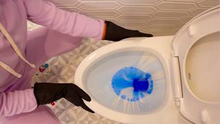 The Essential Guide to Cleaning a Toilet  StepbyStep Tutorial 🚽 ✨ [upl. by Yoo]