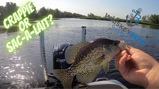 Crappie or Sacalait Louisiana Crappie Fishing [upl. by O'Conner]