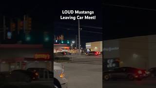 LOUD Mustangs Leaving Car Meet shorts mustang loud [upl. by Wolfgang909]