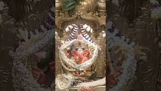 siddhivinayak live darshan today [upl. by Telrahc94]