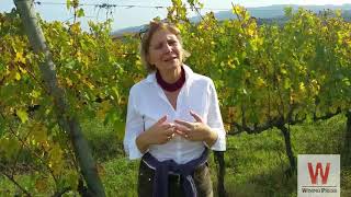 Chiara Lungarotti a Vigna Monticchio Torgiano [upl. by Virgin]