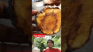 Yam Natural  🥔 😉  Benefits of yams and yam cross section show  shorts viralvideo [upl. by Ahseikram]