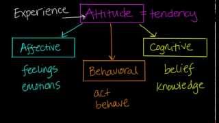 Components of Attitudes [upl. by Eras421]