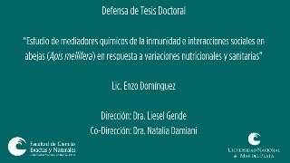 Defensa de Tesis Doctoral  Lic Enzo Domínguez [upl. by Shreve]