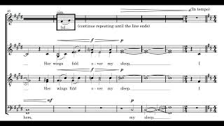 Owl Secrets SATB div from Zoo Nocturnes  Chronos Vocal Ensemble [upl. by Chapel943]