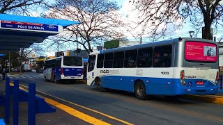 POLO de ARUJÁ SP  Movimentações de Ônibus 21 [upl. by Averi]