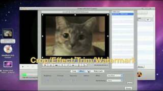 Convert avi m4v mkv mp4 wmv mov flv video to dvd [upl. by Adao]