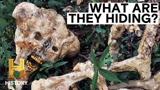 The Proof Is Out There Top 4 CREEPIEST Creature Hoaxes [upl. by Nide]