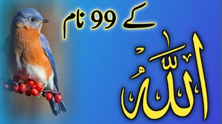 99 Names of allah husna  Allah ke 99 Name  99 names of allah  99 names of allah episode 07 [upl. by Inohs]