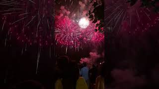 Nationalfeiertag Schweiz fireworks Schweiz shorts [upl. by Eatnuahs]