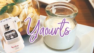 Recettes Yaourtière Lagrange — YAOURTS [upl. by Lottie]