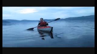 Close Encounters with Beluga Whales [upl. by Normac448]