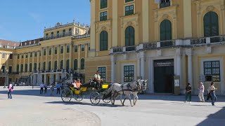 Schönbrunn le château des Habsbourg [upl. by Bubb]