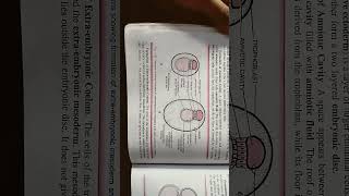 diagram showing formation of extra embryonic mesoderm and extra embryonic coelom [upl. by Rehtse]