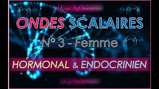 Onde Scalaire n°3  Système HORMONAL  ENDOCRINIEN amp BRULEUR DE GRAISSE Soin énergétique [upl. by Tabatha]