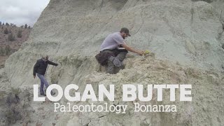 Logan Butte Paleontology Bonanza [upl. by Nytsirk]