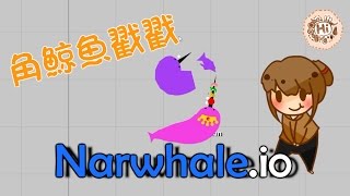 【巧克力】『Narwhaleio：鯨魚戳戳』 － 戳戳角鯨魚 介紹 [upl. by Irving]