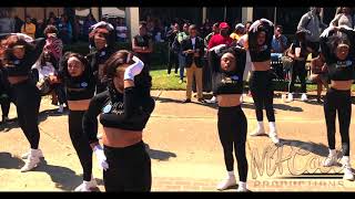 Scotlandville High Marching Band W HighSteppers  Southern U Election week [upl. by Ainniz]