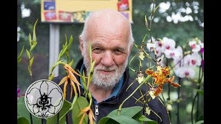 orchidee con foglie gialle molli e cadenti LE DOMANDE PIU FREQUENTI video n°4 di 9 [upl. by Rebmat]