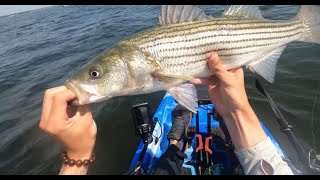 Kayak Fishing for Striper in Narragansett Bay [upl. by Dnalloh897]