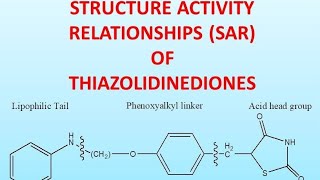 STRUCTURE ACTIVITY RELATIONSHIPS SAR OF THIAZOLIDINEDIONES [upl. by Ajam]