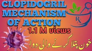 Clopidogril mechanism of action animation clopidogrel mechanism of action in hindipharmacology [upl. by Solomon]