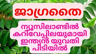 What you can or cant bring to New Zealandmust watch videonewzealandmalayalamvlogmalayalam [upl. by Anne-Corinne]