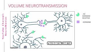 NEUROSCIENCE  WHAT IS VOLUME NEUROTRANSMISSION [upl. by Cleres708]